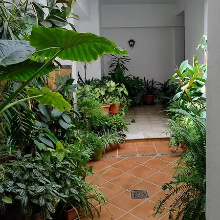 Tranquilo Y Cerca Del Museo Arqueologico